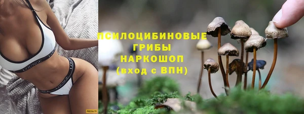 прущие крисы Арсеньев