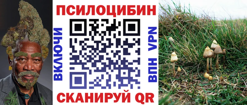 Галлюциногенные грибы мицелий  Магадан 